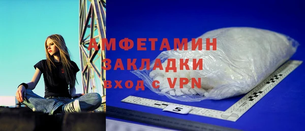 шишки Богородицк