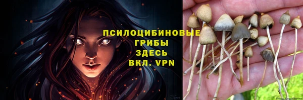 а пвп мука Богданович