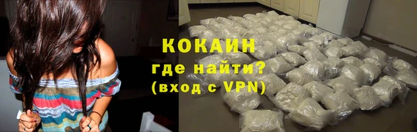 шишки Богородицк