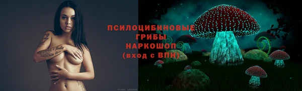 эйфоретик Богородск