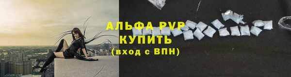 СК Белокуриха