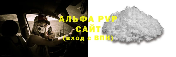 шишки Богородицк