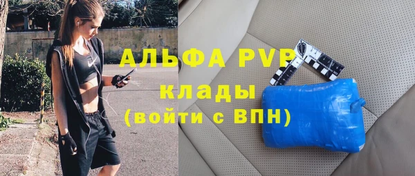шишки Богородицк