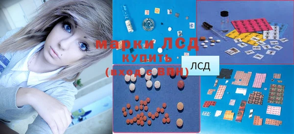 шишки Богородицк