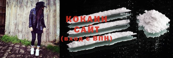 эйфоретик Богородск